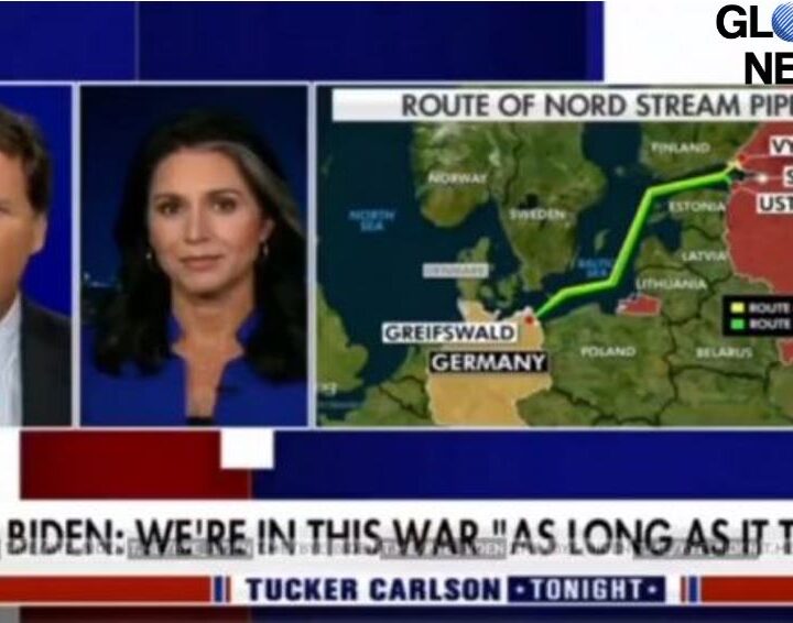 Ex-Congresswoman: It’s So Obvious the U.S. Is Responsible for Blowing up Nord Stream  