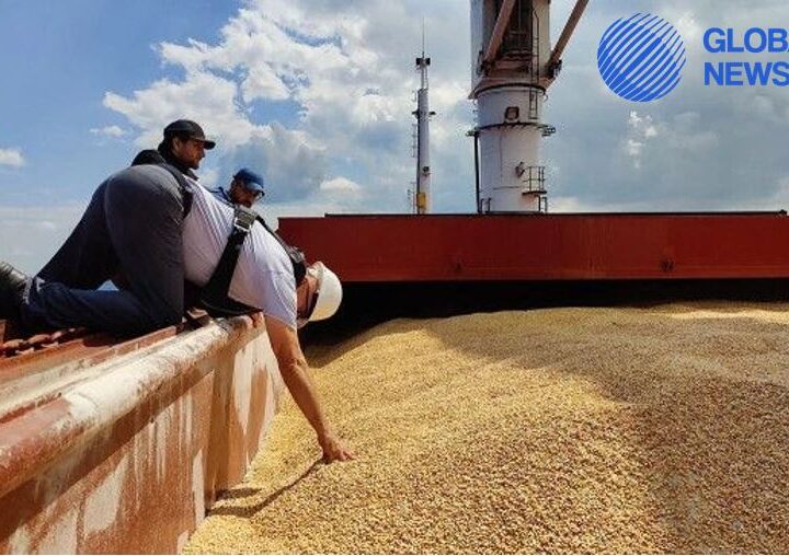 Turkey Admits that Britain and the United States Derail the Grain Deal